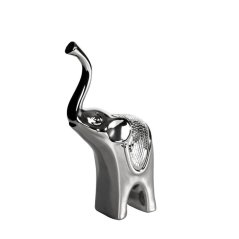 Aurora slon mensi Aurora slon mensi