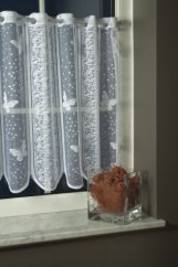 Zakarova zaclonka motyli