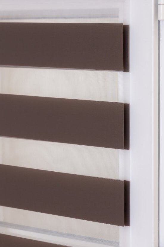 Tamarin šedo hnedá