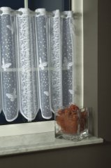 Zakarova zaclonka motyli