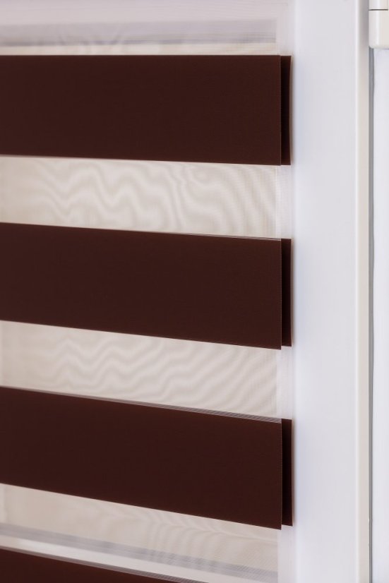 Tamarin divoká švestka