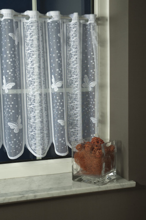 Zakarova zaclonka motyli